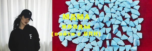 шишки Абаза