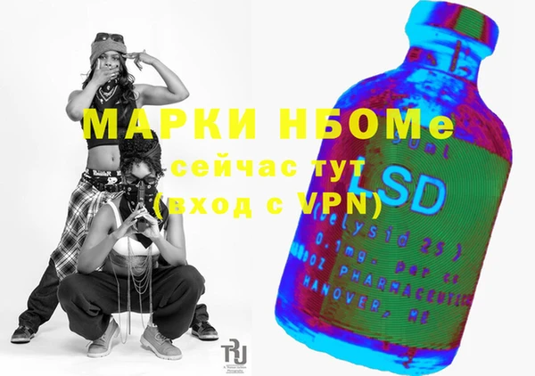 шишки Абаза