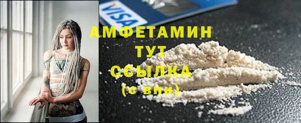 шишки Абаза