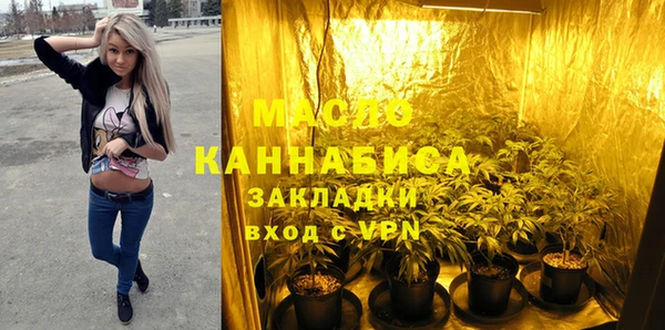 шишки Абаза