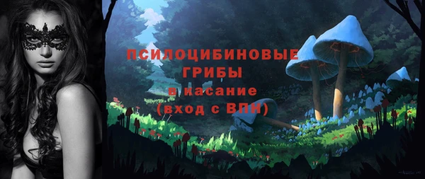 ГАЛЛЮЦИНОГЕННЫЕ ГРИБЫ Абдулино