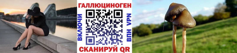 Псилоцибиновые грибы ЛСД  Шенкурск 