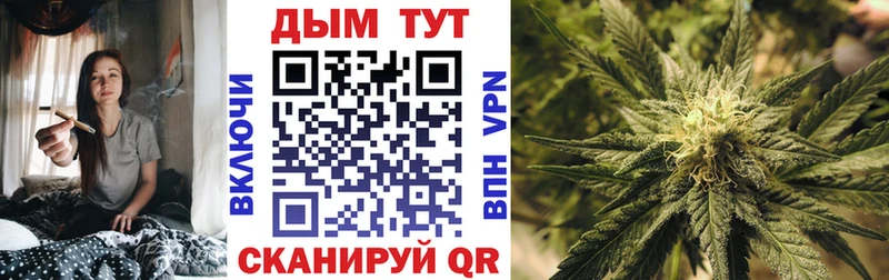 Канабис Bruce Banner  hydra   Шенкурск  закладка 